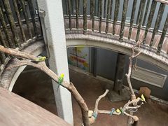 -正佳雨林生态植物园