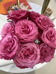 -WENDY·温迪皮肤管理