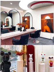 -IP SALON