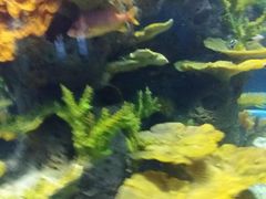 -多彩贵州城极地海洋世界