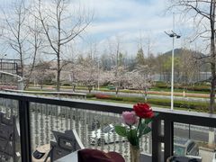 -宝荣鱼馆·临湖之宴(千岛湖店)