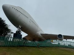 -申普宠物医院·眼科·心内科·影像科(普陀分院)
