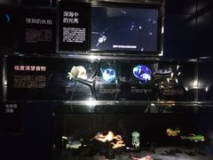 -同济大学四平路校区深海探索馆