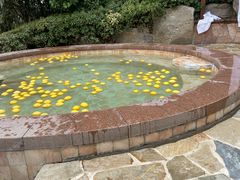 -天目湖涵田半山温泉