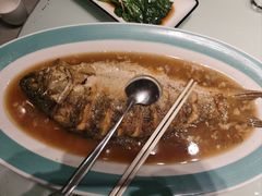 -豫丰汇河南名菜楼(武记餐饮)