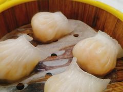 虾饺皇-香港威特瑞茶餐厅(小白楼音乐厅店)