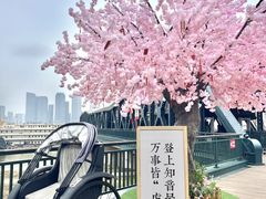 -武汉知音号