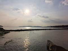 -上海市保健医疗中心