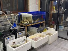 -阿杰臻选海鲜饭店(普陀山店)