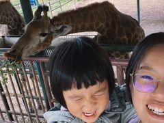 -秦皇岛野生动物园