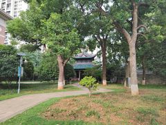 -长沙市青少年宫