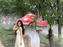 -沂蒙山旅游区云蒙景区(蒙山国家森林公园)