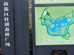 -桂湖森林公园