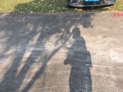 -松山湖梦幻百花洲