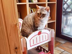 -隅cafe(傅厚岗店)