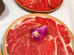-鲜入围煮花胶鸡海鲜火锅