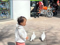 -中粮·祥云小镇