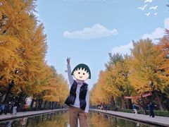-玲珑塔公园
