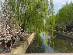 -元大都城垣遗址公园