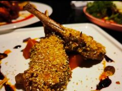 -百好乐宠物友好餐厅(朝外大街店)