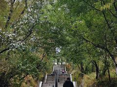 -北山公园