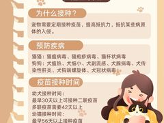 -瑞派·关忠动物医院(国瑞店)