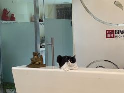 -丽时 Hair Salon