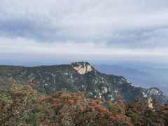 -泰山风景名胜区