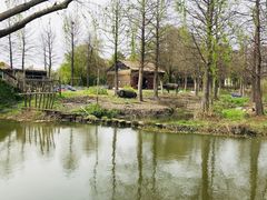 -华东政法大学松江校区-停车场