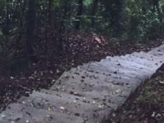 -天鹿湖森林公园