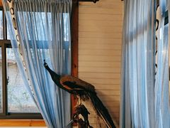 -林间山庄