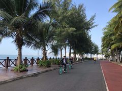 -万绿园