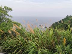 -东沙渔村