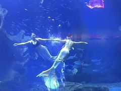 -多彩贵州城极地海洋世界