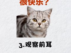 -荔康动物医院(康王北路店)