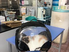 -恒康宠物医院(司背后街店)
