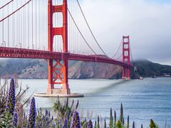 -阿英煲(凉城路店)