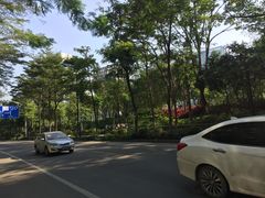 -怡海公园(桂城街道)