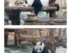 -泉州海丝野生动物世界