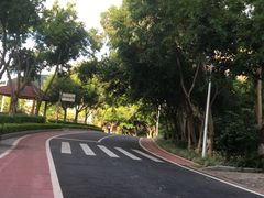 -仙岳公园