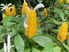 -北京植物园-展览温室