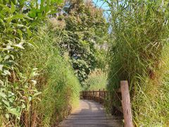 -成都市活水公园