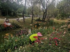 -人民公园(罗湖区)