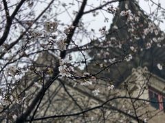 -武汉大学风雨操场