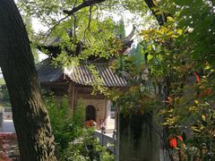 -习家池