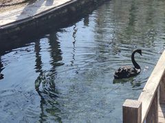 -水磨沟公园