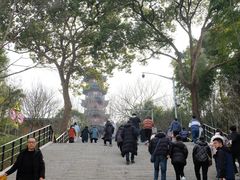 -上海佘山国家森林公园西佘山园