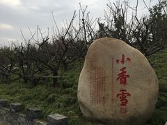 -蜀冈西峰生态公园