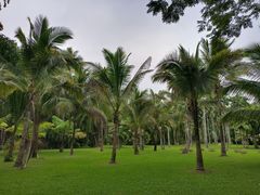 -中国科学院西双版纳热带植物园