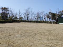 -春花秋色城市公园